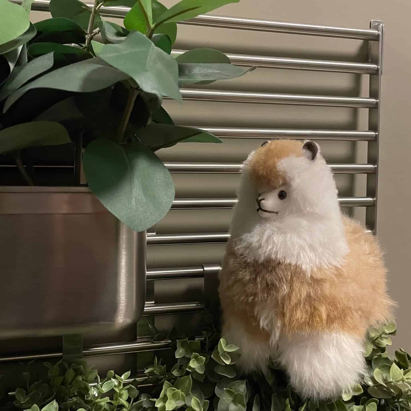 Staymore - Peluche de Llama - Juguete de Alpaca Súper Suave - Imagen 7