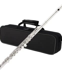 Flauta C de 16 llaves Yasisid cerrada para principiantes
