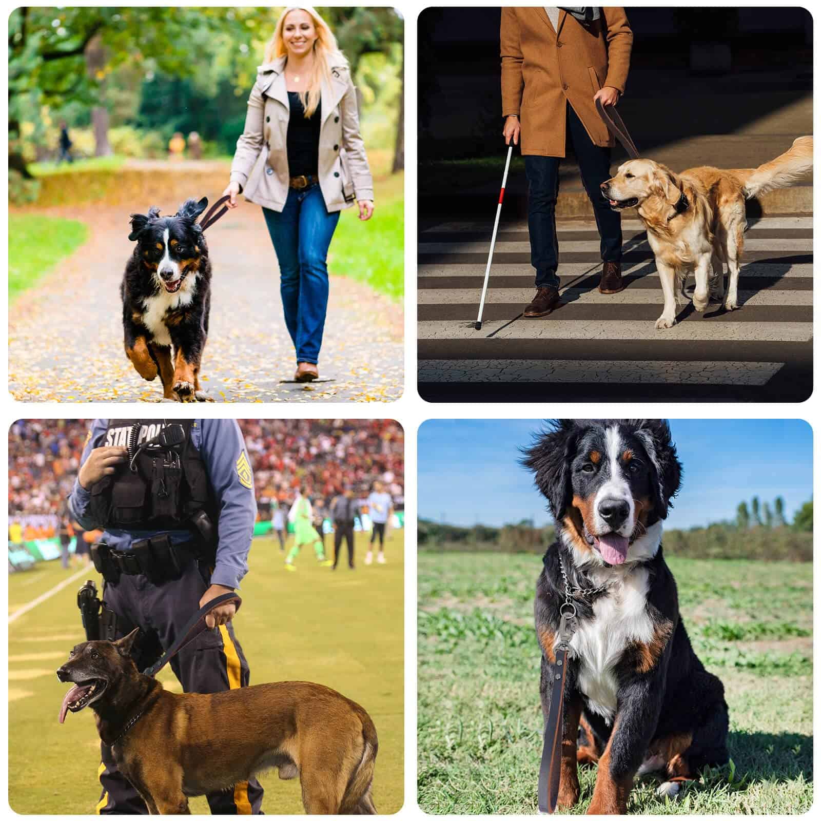 Correa corta de perro de cuero genuino, correas de tráfico - Imagen 3