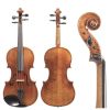 Viola D Z Strad - Modelo 500 - Equipo de Viola Hecho a Mano