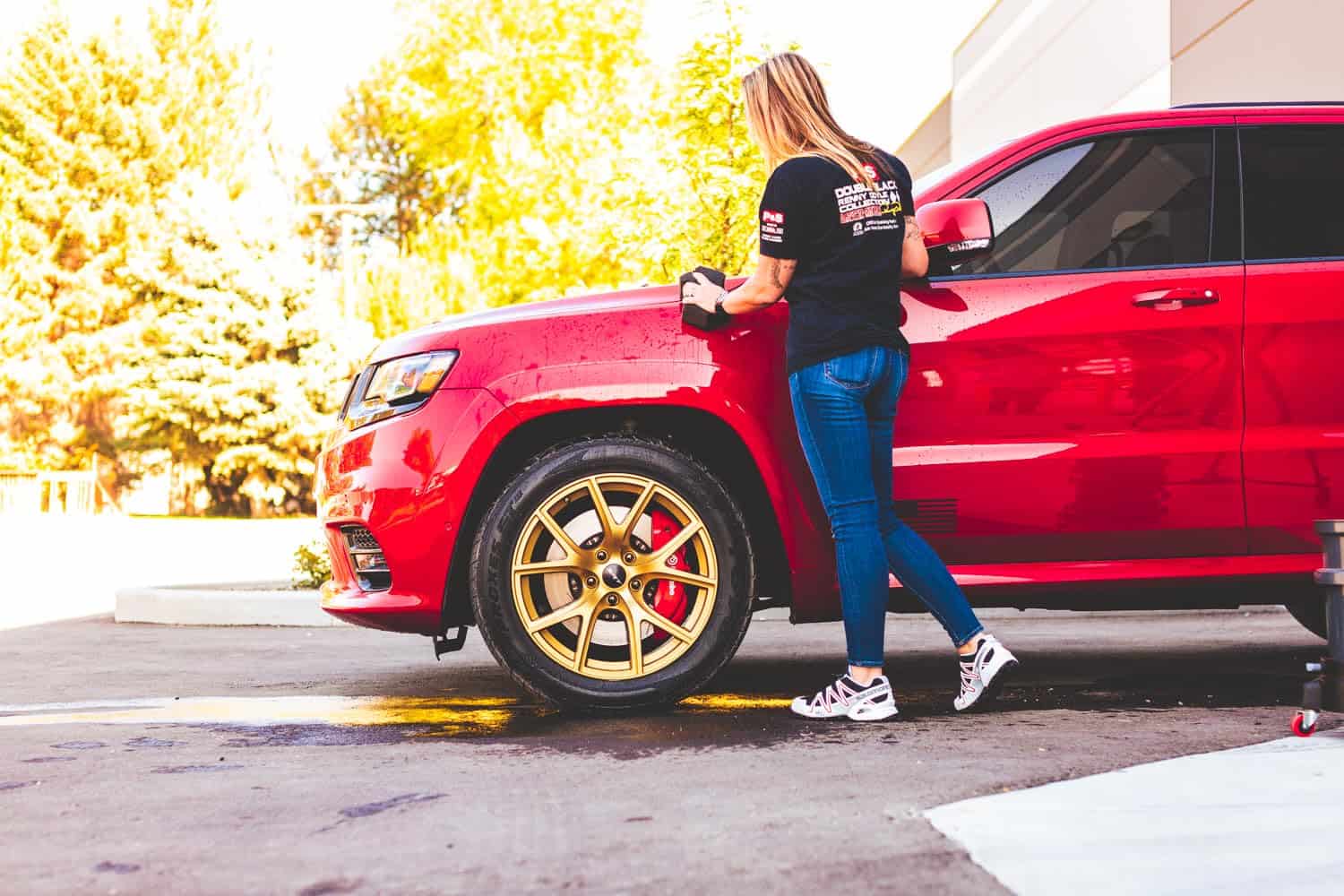 P & S PROFESSIONAL DETAIL PRODUCTS - Absolute Rinseless - Imagen 6