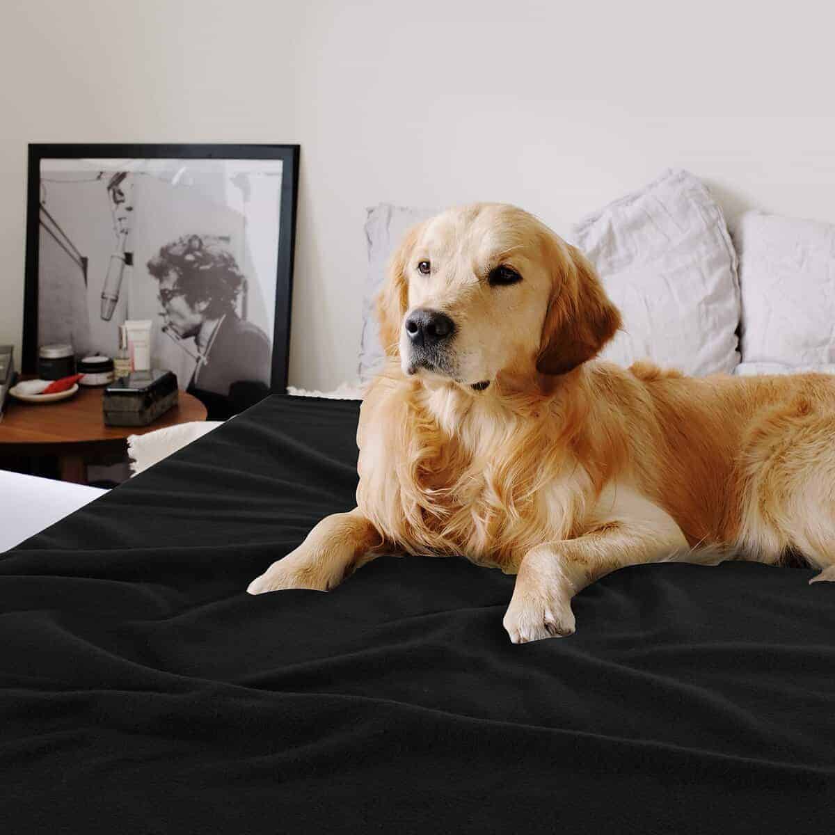 Mantas de Felpa Especial SG Glory a Granel Mantas de Felpa - Imagen 6