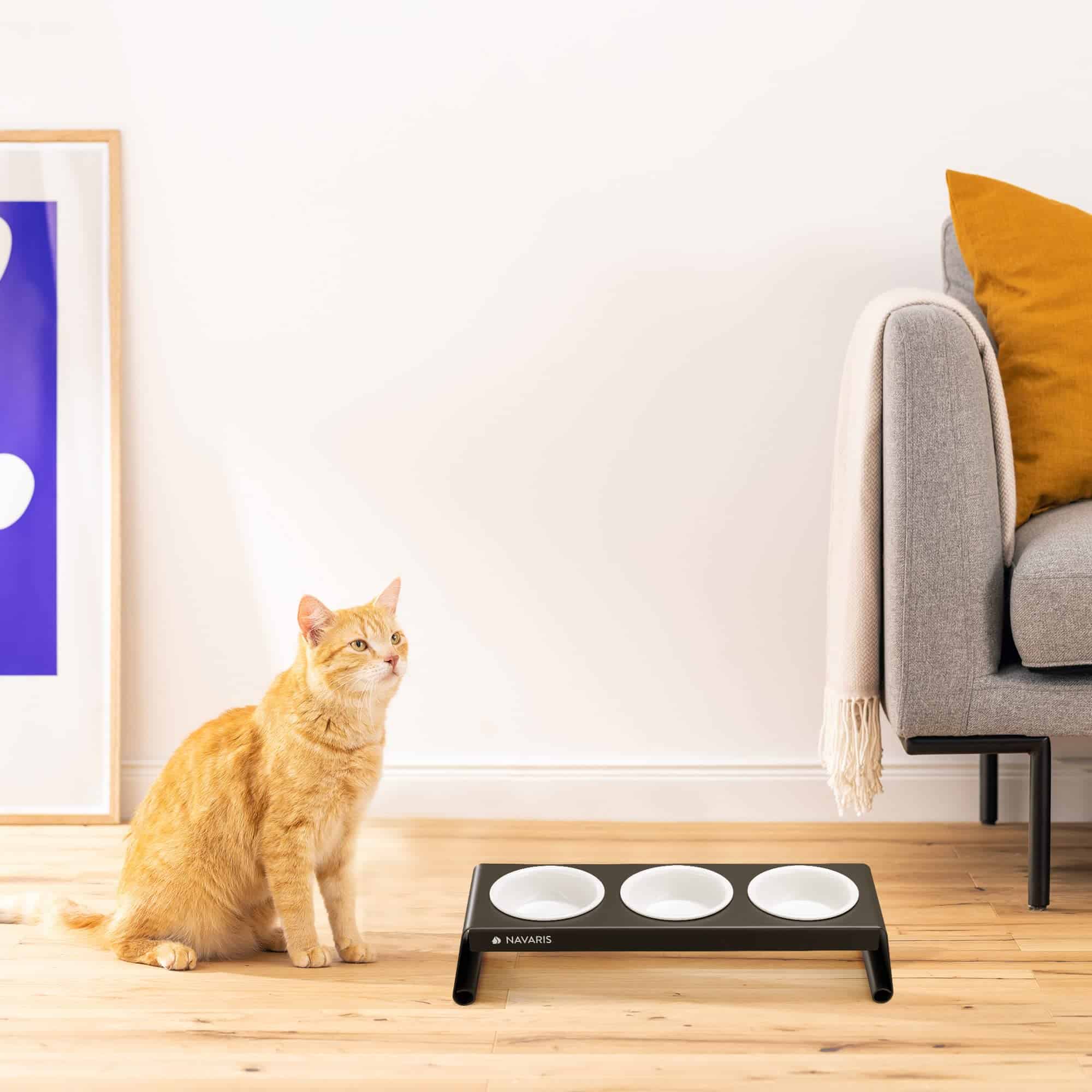 Comedero Elevado para Mascotas Navaris - Estación Triple de - Imagen 3