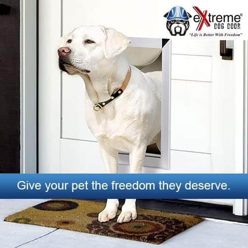 Puertas para Perros de Doble Solapa Pesadas de Alta - Imagen 4