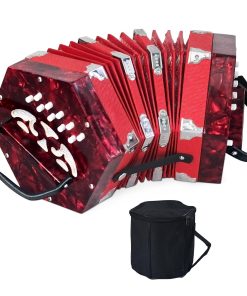 Acordeón de 20 botones para adultos, Acordeón profesional