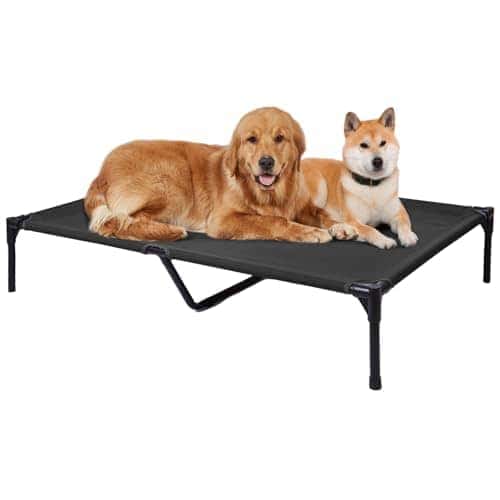 Cama elevada para perros al aire libre - Camas para perros