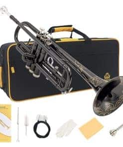 Trompeta Estándar YASISID Bb, Latón para Adultos Tocando