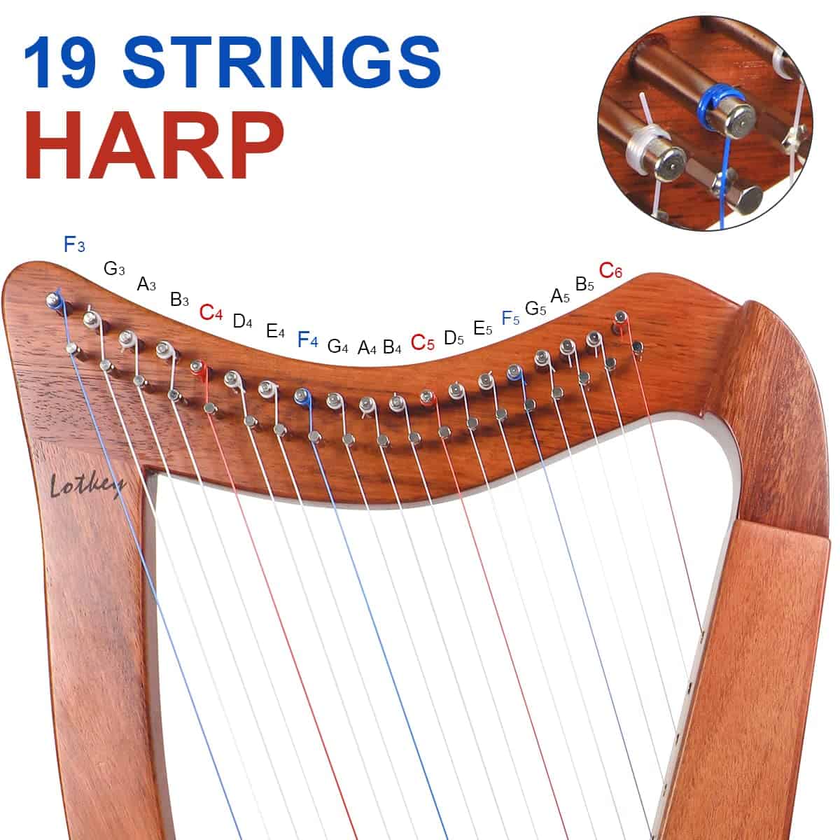 Arpa, Lira de 19 Cuerdas Lotkey para Principiantes Adultos - Imagen 3