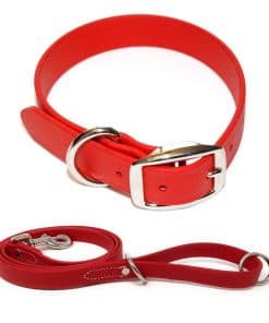 Conjunto de Collar y Correa Impermeables Rojos para Perros