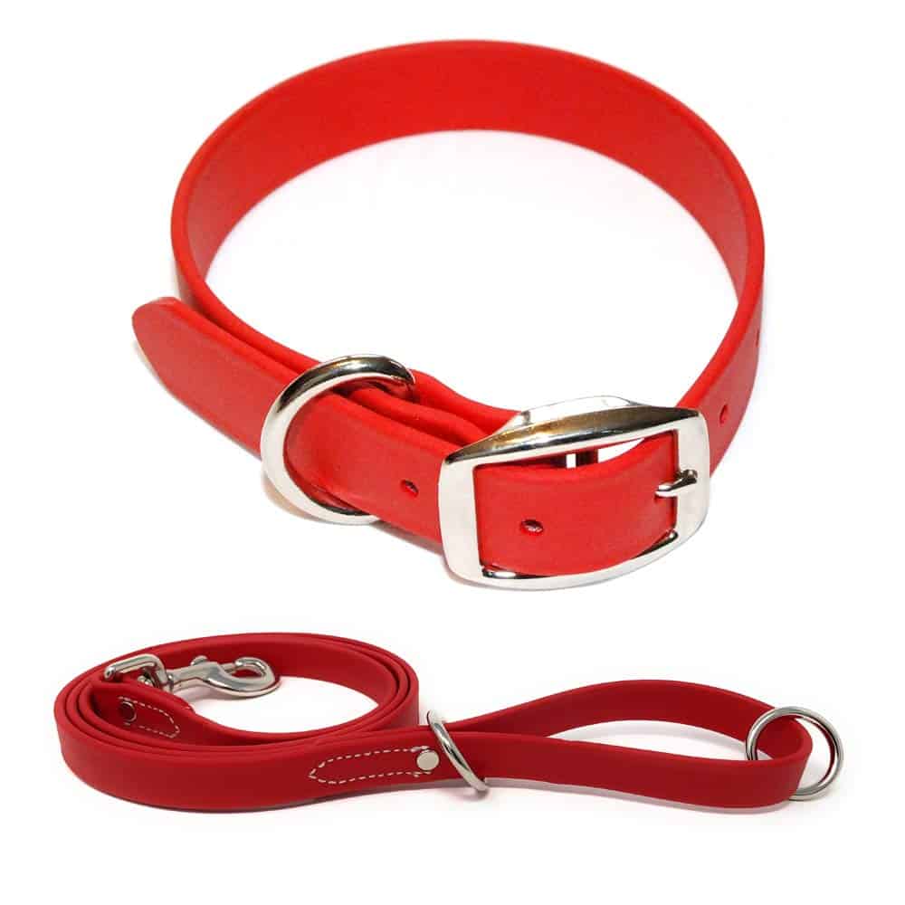 Conjunto de Collar y Correa Impermeables Rojos para Perros