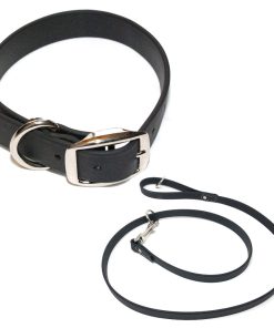 Conjunto de Collar y Correa para Perro Pequeño Negro a