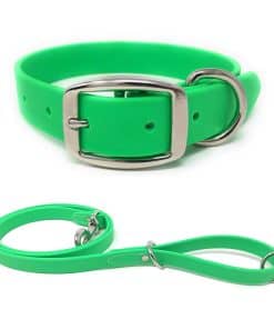 Set de collar y correa para perro pequeño en color verde