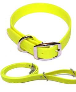 Conjunto de Collar y Correa para Perro Grande Amarillo