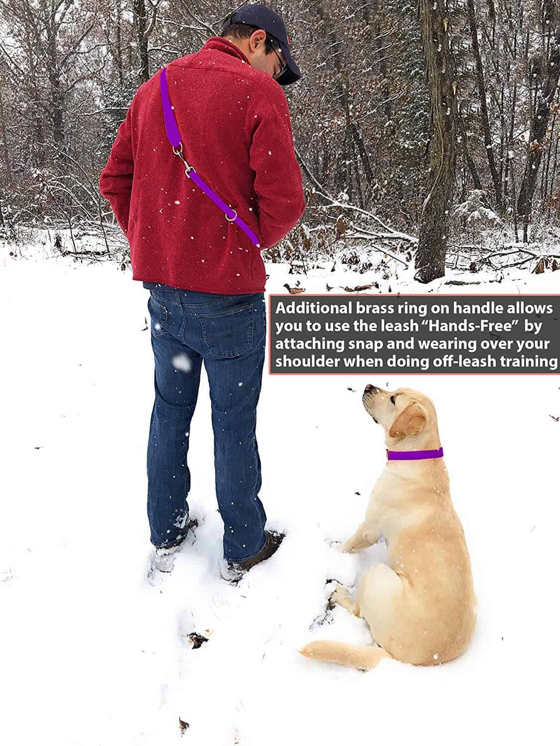 Conjunto de Collar y Correa Impermeable Morado para Perro - Imagen 4