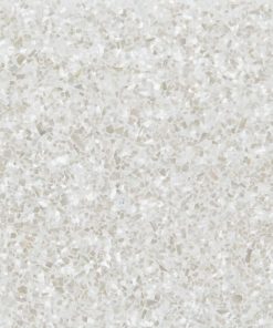 Chapa de incrustaciones de concha de abulón para