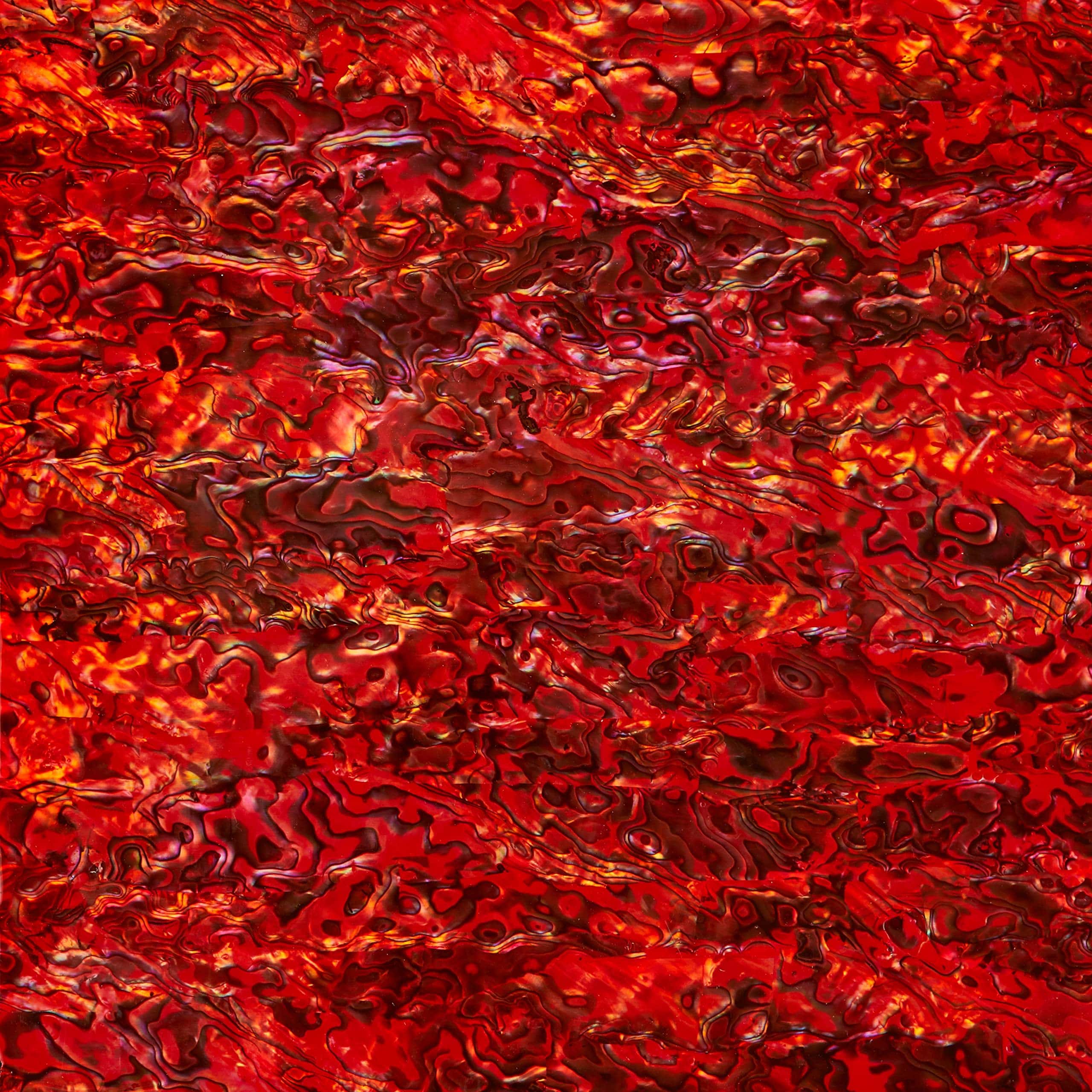 Chapa de incrustación de concha de abulón para bricolaje o