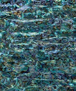 Chapas de incrustaciones de concha de abulón para adornos