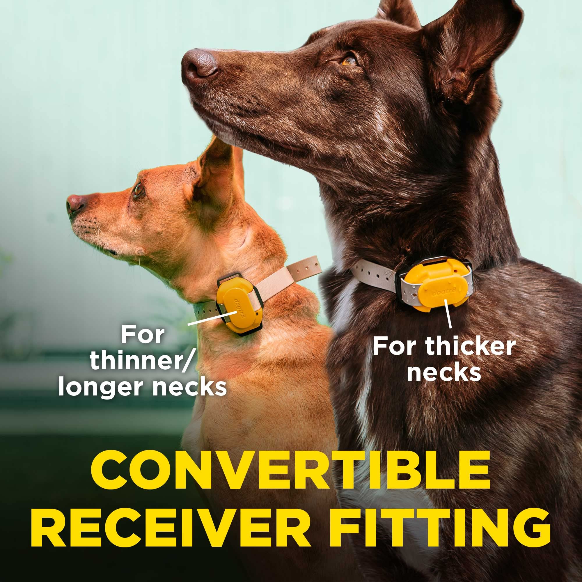 Collar de Adiestramiento para Perros CUE Add On Amarillo - Imagen 5