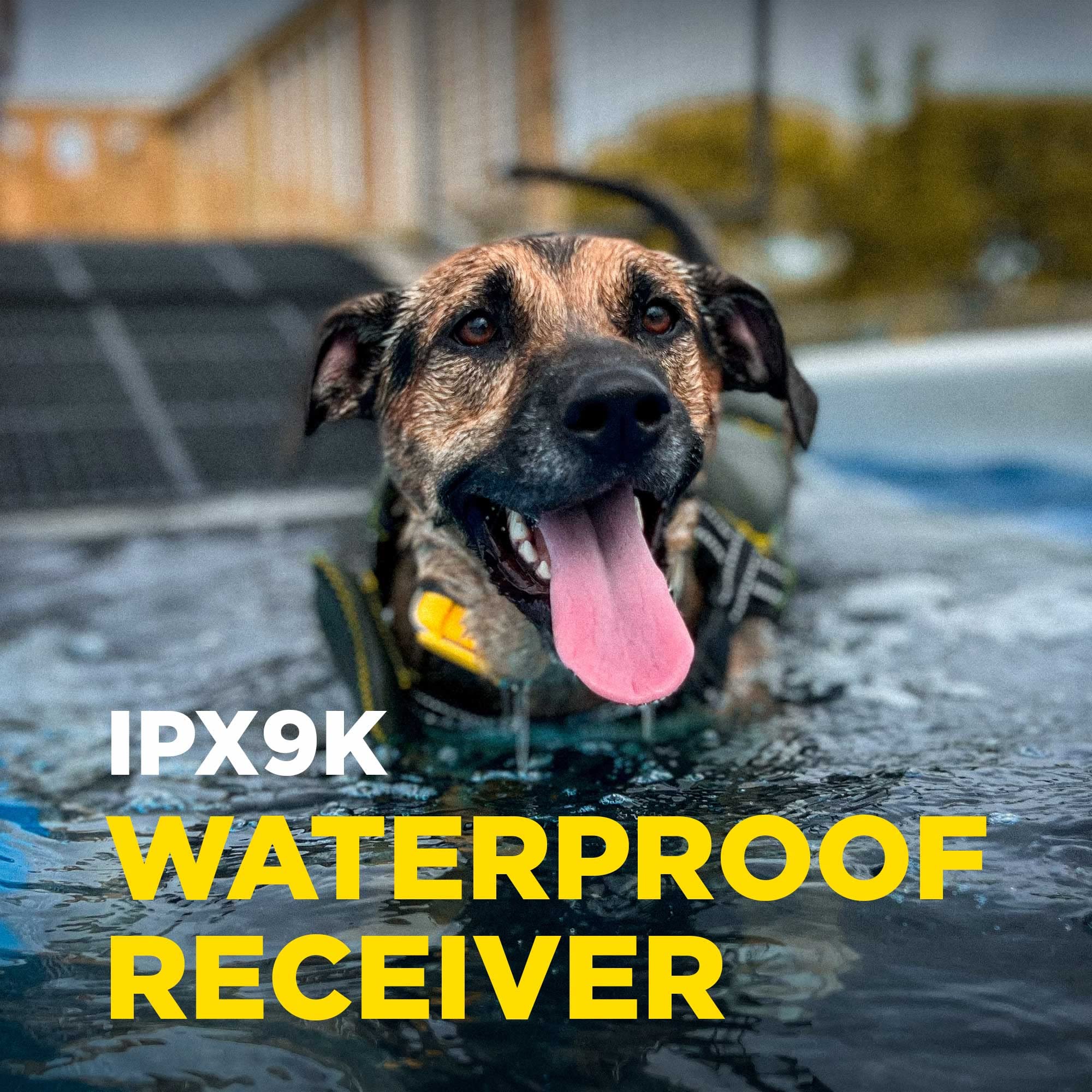 Collar de Adiestramiento para Perros CUE Add On Amarillo - Imagen 4