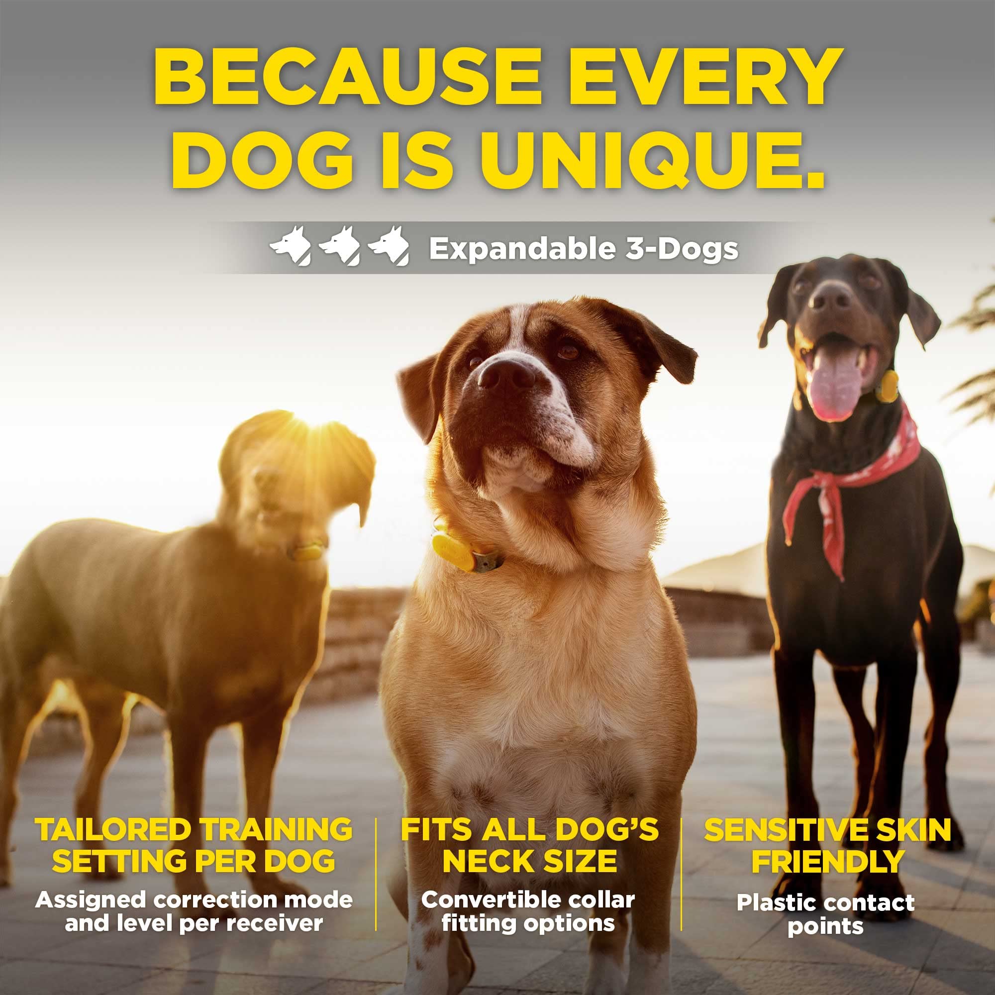 Collar de Adiestramiento para Perros CUE Add On Amarillo - Imagen 6