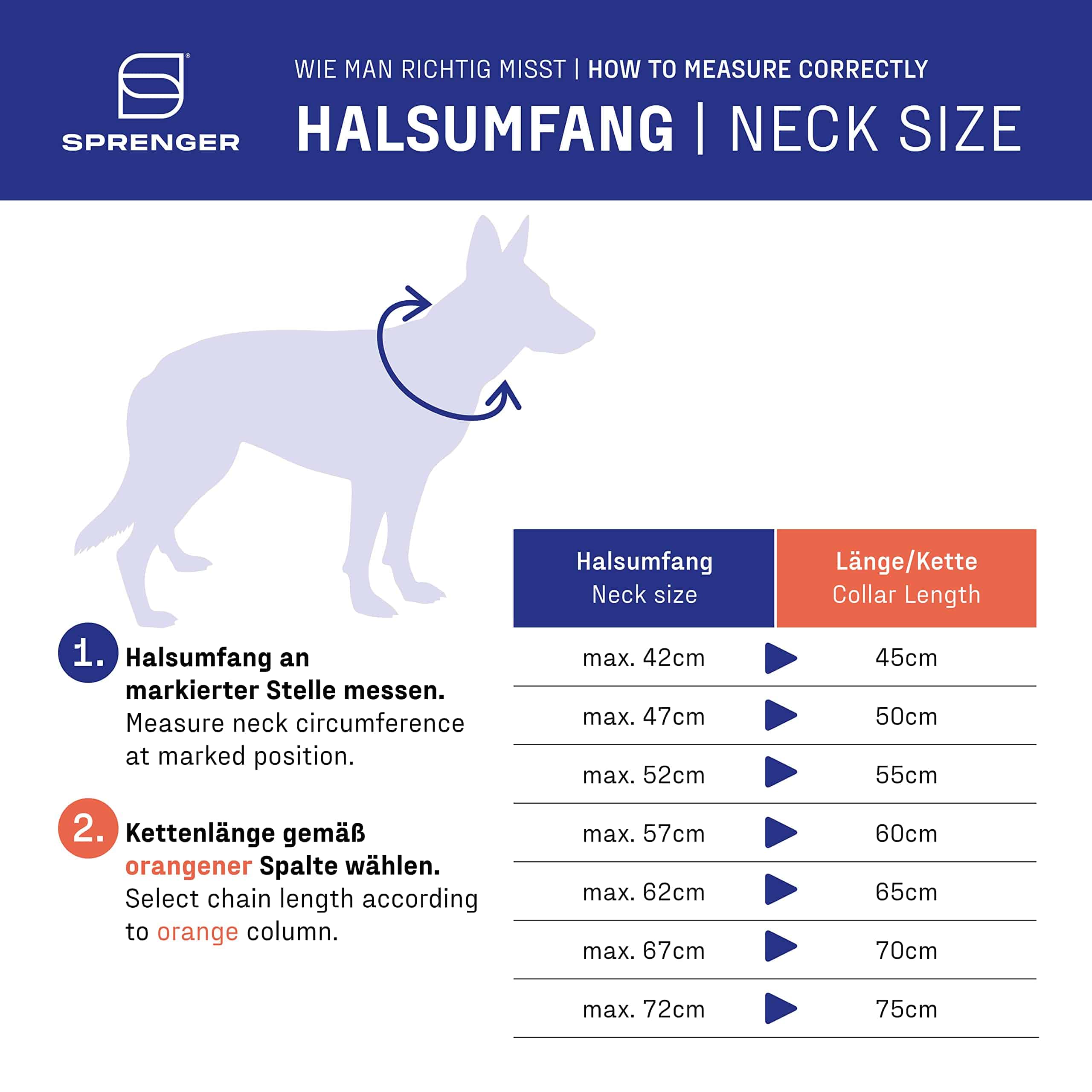 Collar de Cadena de Acero Inoxidable Herm Sprenger Fur - Imagen 4