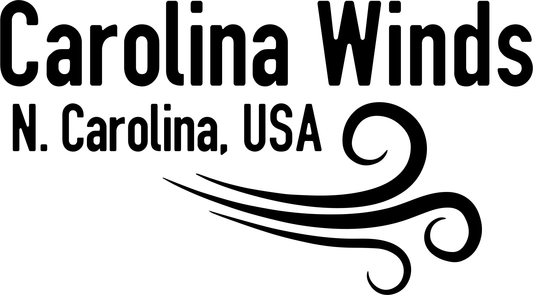 ¡APROBADO POR MAESTROS! Carolina Winds CW201TPT Trompeta Bb - Imagen 7