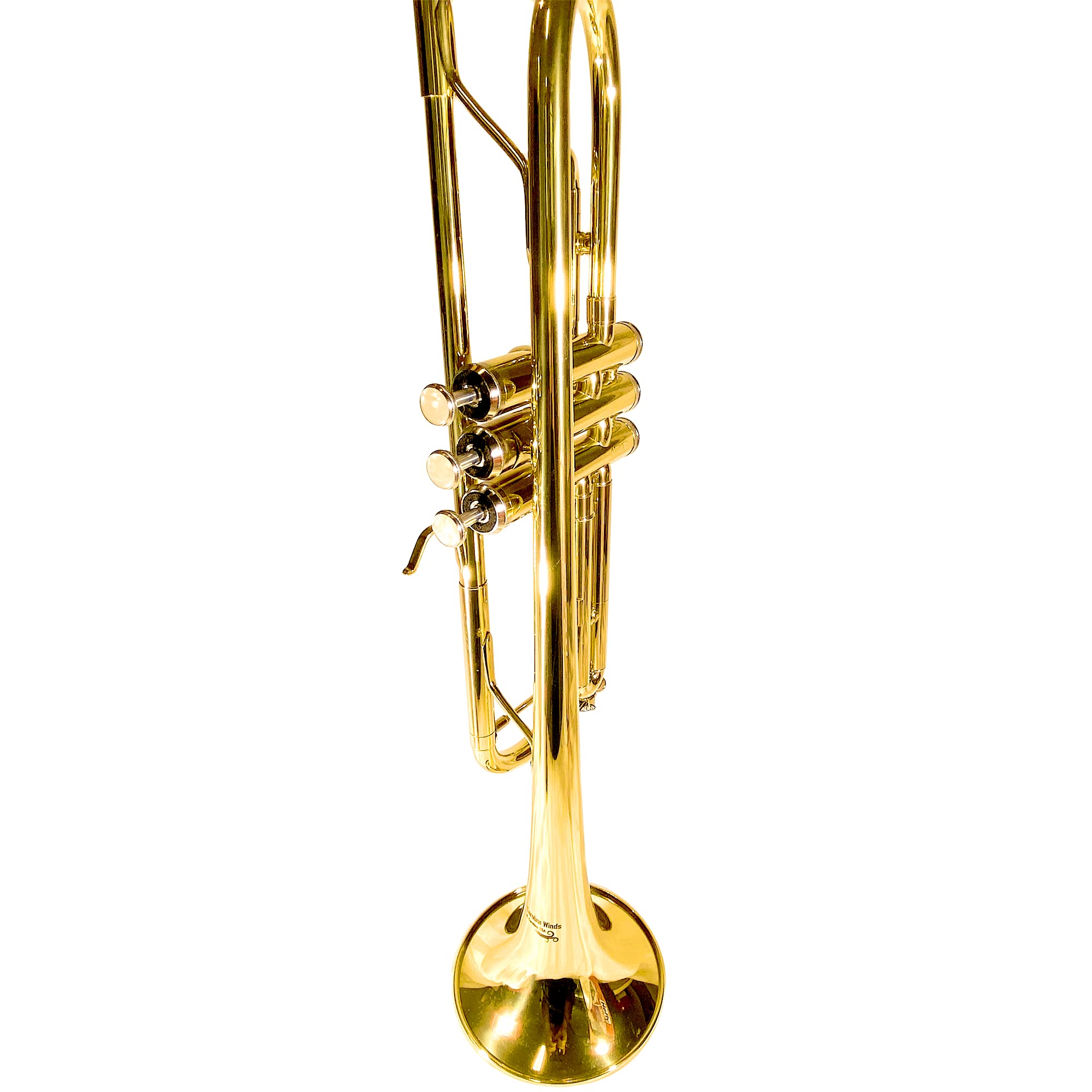 ¡APROBADO POR MAESTROS! Carolina Winds CW201TPT Trompeta Bb - Imagen 3