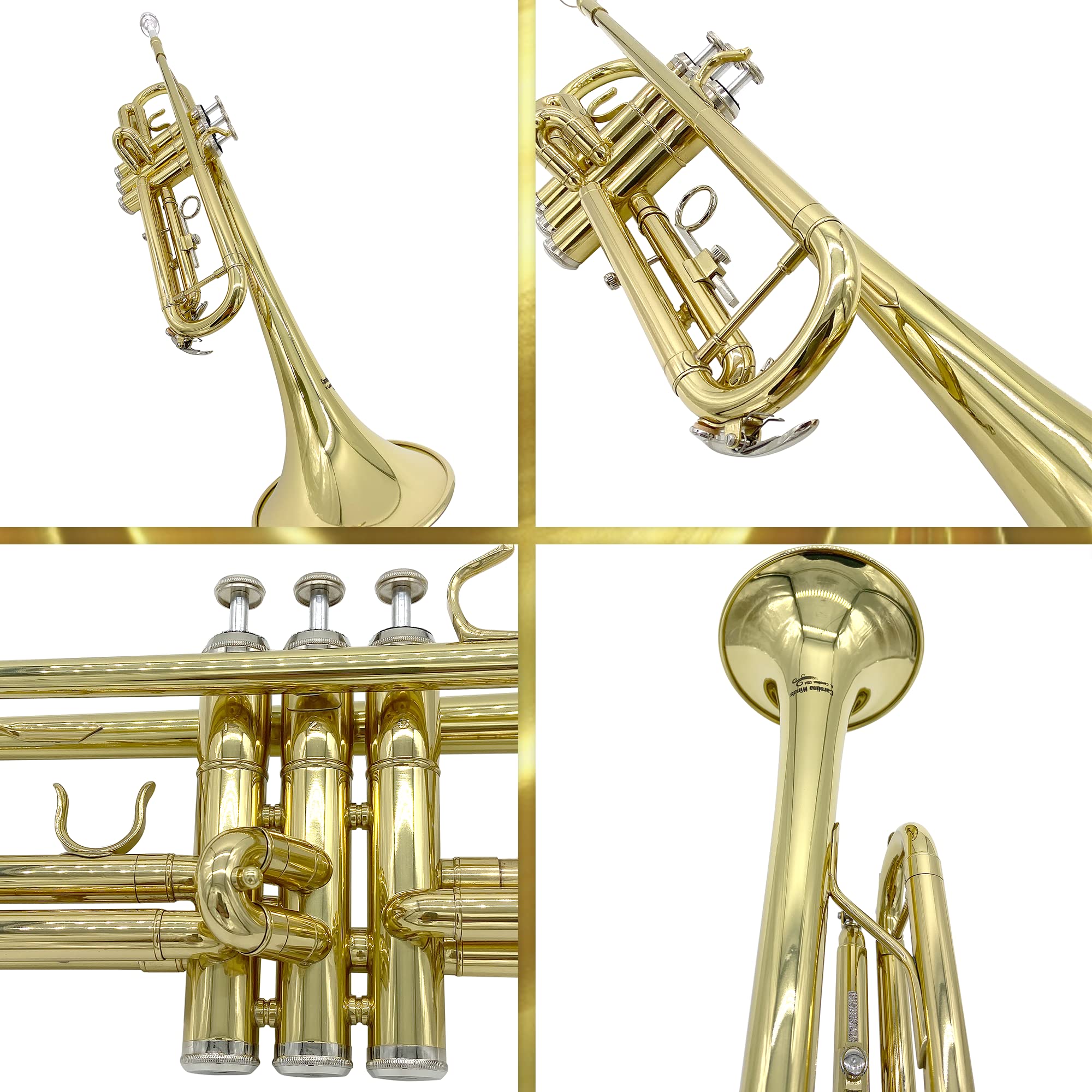 ¡APROBADO POR MAESTROS! Carolina Winds CW201TPT Trompeta Bb - Imagen 8