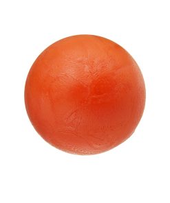 Filtro de Lavavajillas WD12X10408 Genuino OEM