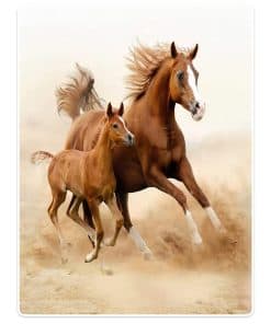 SXCHEN 60"x80" Mantas de Sofá de Lanzar Plush Dos Caballos