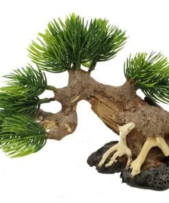 Bonsai Driftwood Árbol de Acuario AWR Selección al Azar