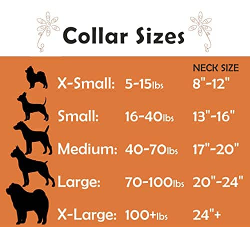 Collar de Perro de Conchas Hecho a Mano, Original de Lujo - Imagen 4