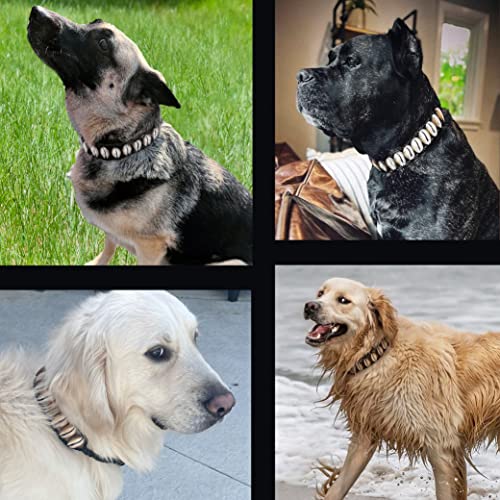 Collar de Perro de Conchas Hecho a Mano, Original de Lujo - Imagen 8