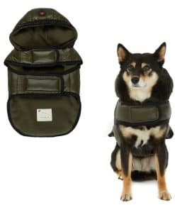 Pajar Pup Eddie Abrigos de Invierno para Perros - Abrigo