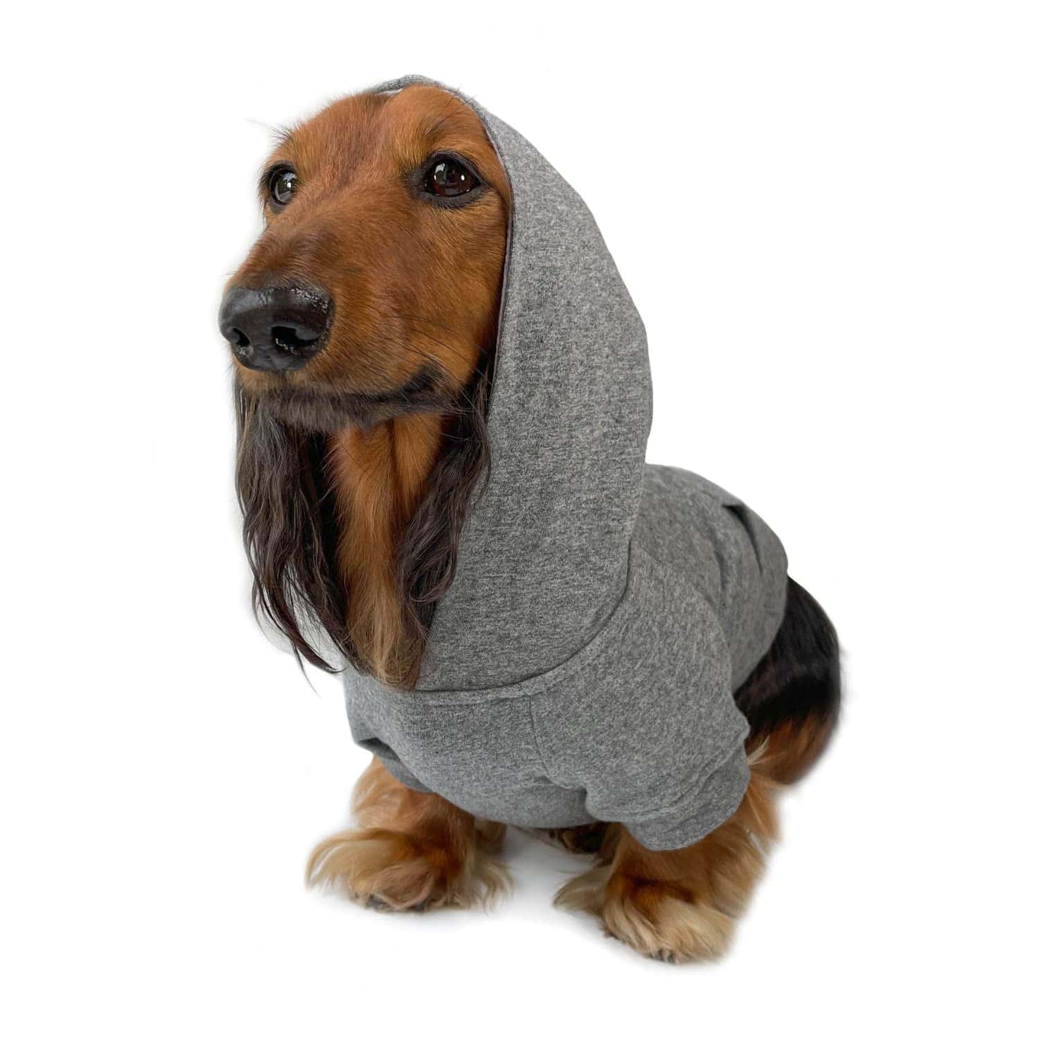 Sudadera con capucha para perros DJANGO súper suave y