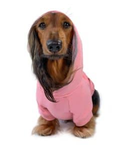 Sudadera con capucha para perro DJANGO y Sweater Súper