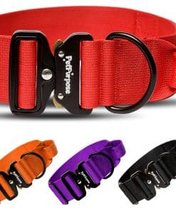 Collar de perro táctico de 2 pulgadas con asa para
