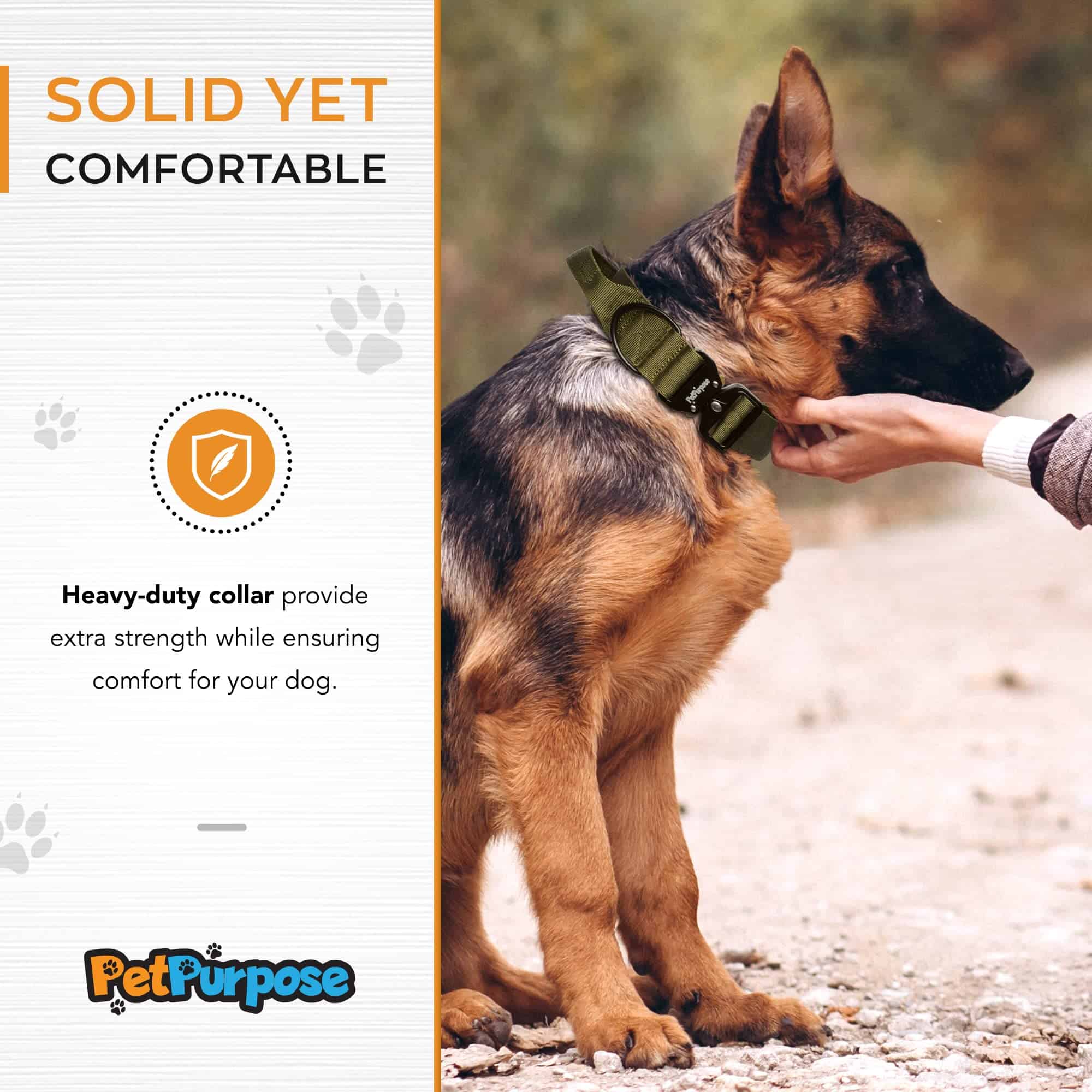 Collar de perro táctico de 2 pulgadas con asa para - Imagen 4