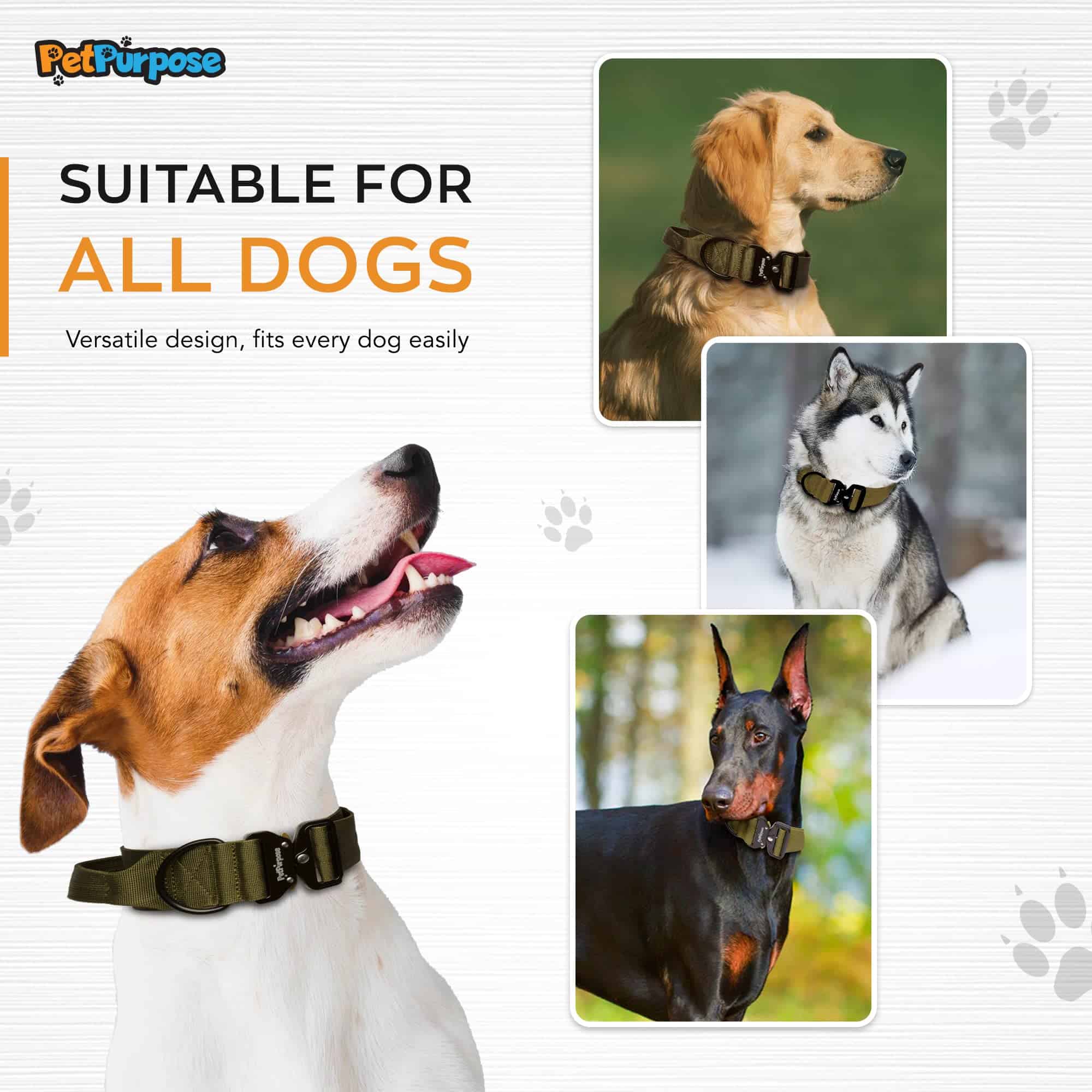 Collar de perro táctico de 2 pulgadas con asa para - Imagen 5