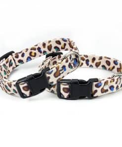 Collar para Perro (Tamaño Mediano)
