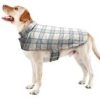 Chamarra de Montar Best Furry Friends para Perros,