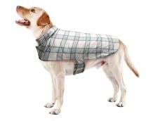 Chamarra de Montar Best Furry Friends para Perros,