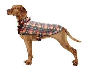 Chamarra de montar para perros Best Furry Friends, Cuadros