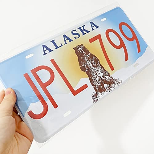 Panguru Juego de 50 Placas de Matrícula Réplica de los 50 - Imagen 5