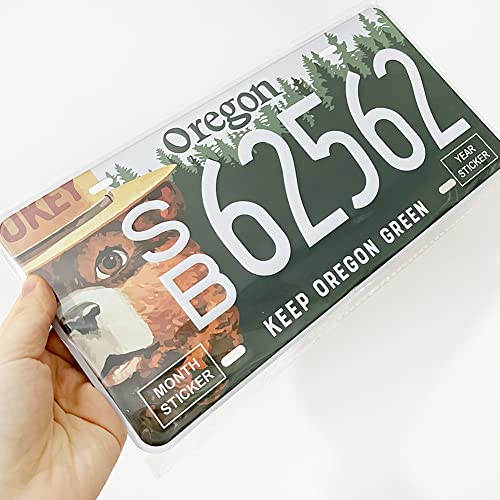 Panguru Juego de 50 Placas de Matrícula Réplica de los 50 - Imagen 9