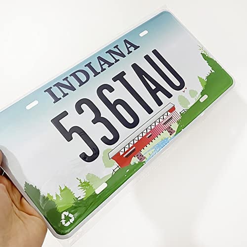 Panguru Juego de 50 Placas de Matrícula Réplica de los 50 - Imagen 10