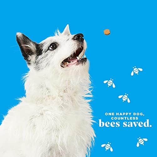 Premios para entrenamiento de perros Hive 2 Pack - - Imagen 5