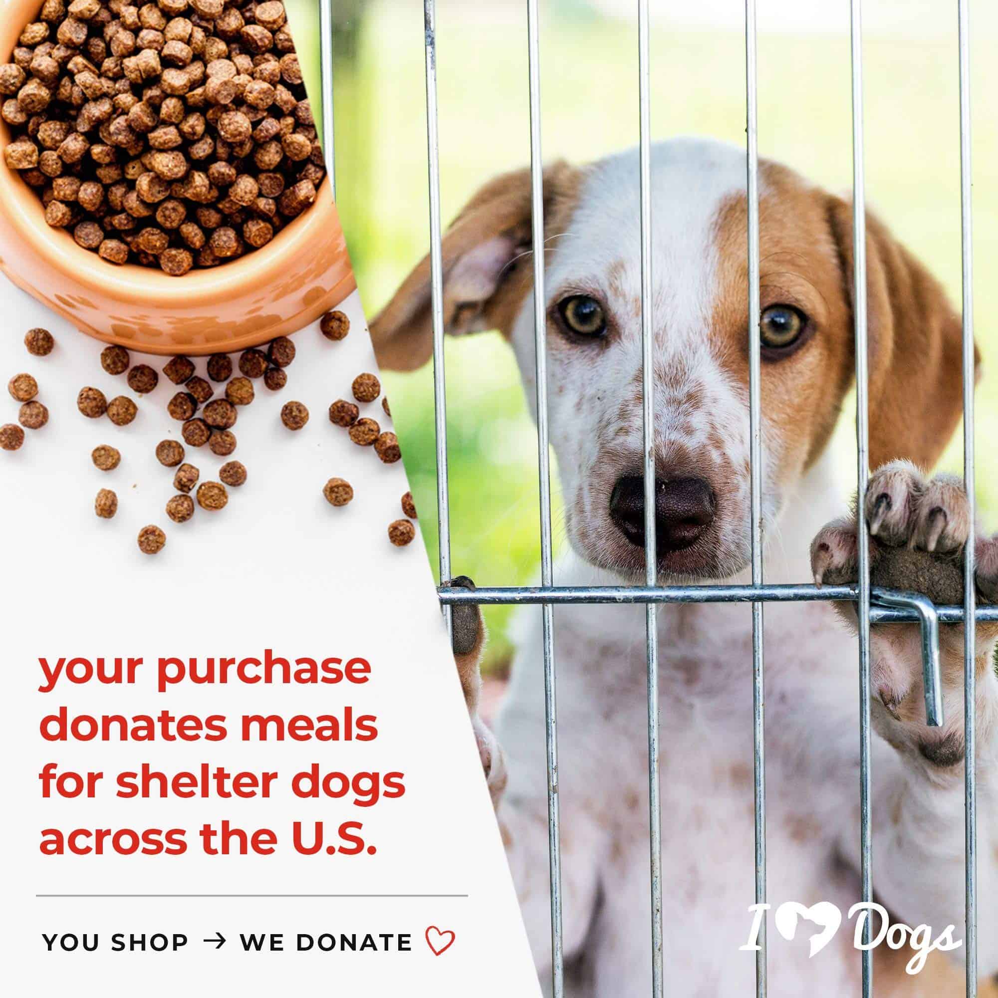 Manta para Perro iHeartDogs Snuggle Pup & Butterfly Flannel - Imagen 5