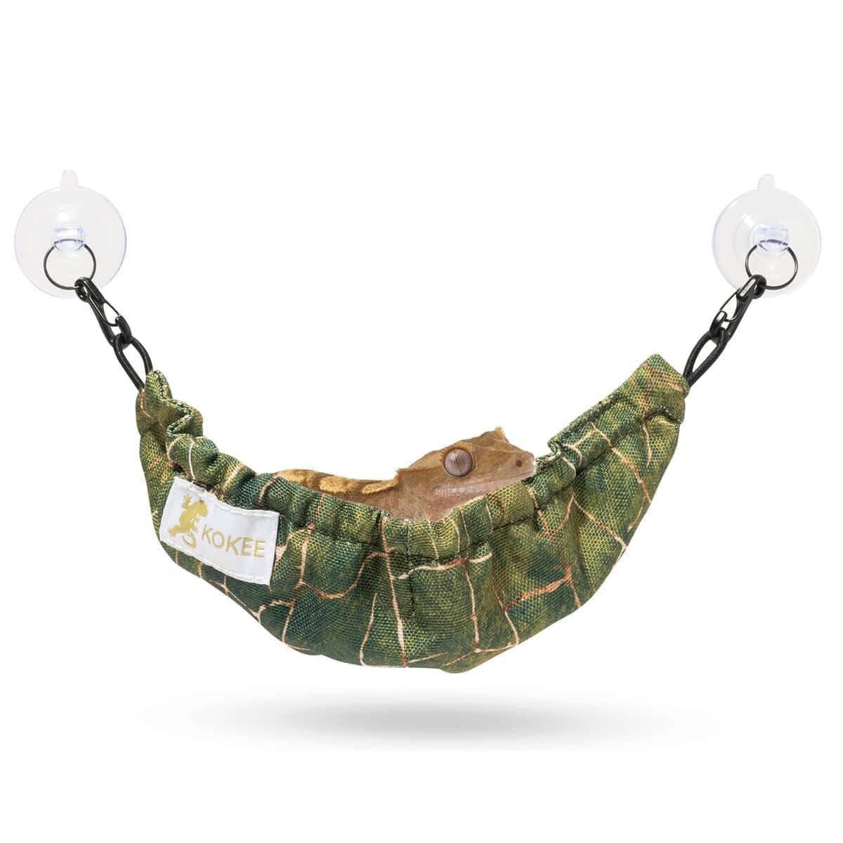 Accesorios para Gecko para Terrario de Crested Gecko y