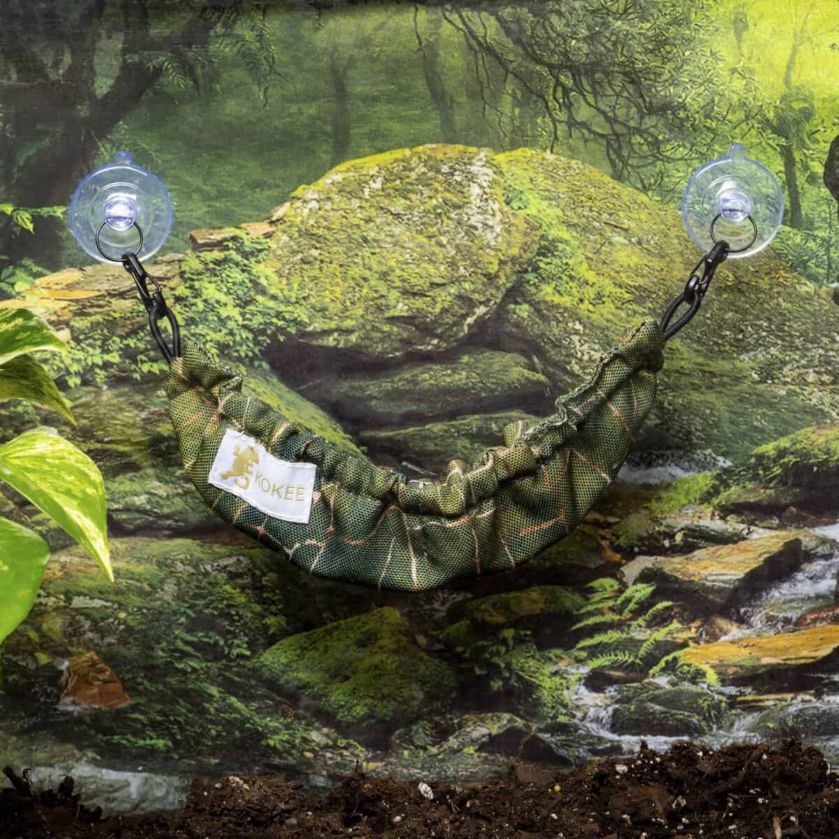 Accesorios para Gecko para Terrario de Crested Gecko y - Imagen 5